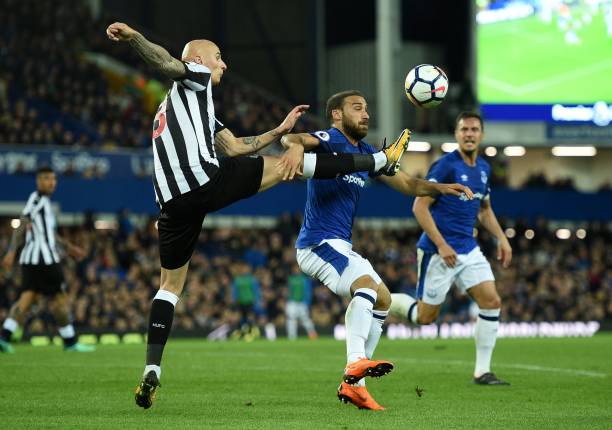 百万计的粉 百万计的粉