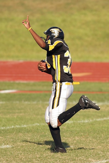 放走球队的 放走球队的